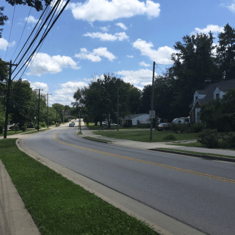 A picture of a road in Berea, USA with many trees, houses, and the bright blue sky