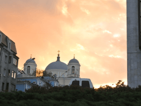 A picture of some buildings behind some trees with the brown red sky