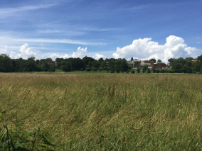 A picture of the countryside with a green field, many trees, some houses, and the bright blue sky